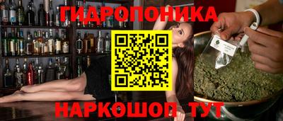 мдпв Обь
