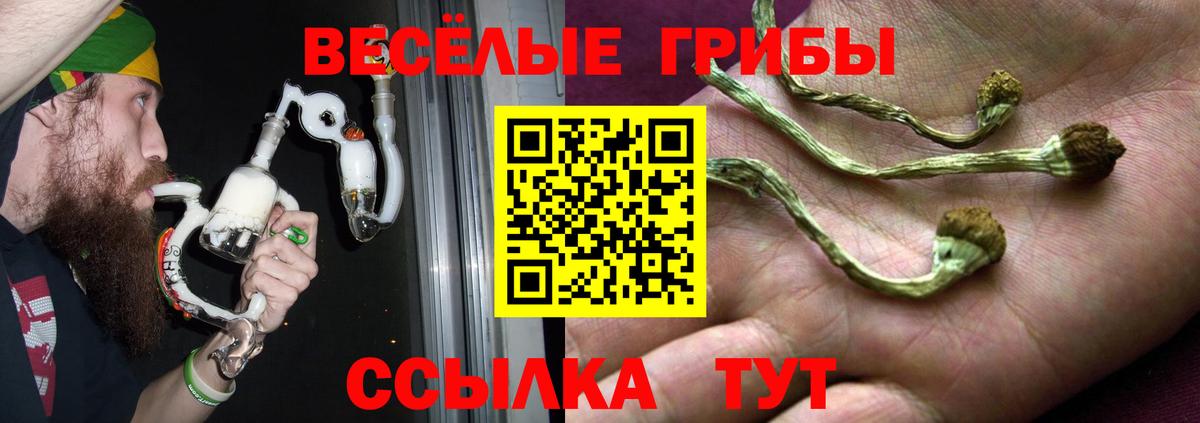 Галлюциногенные грибы Cubensis  Вход с VPN  купить  сайты  Галлюциногенные грибы мухоморы  Тимашёвск 